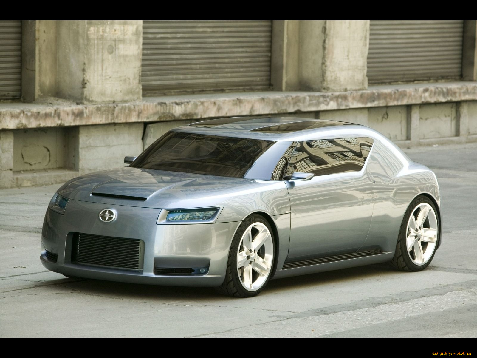 , scion